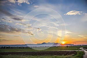 Landscape  at the sunset in the springtime