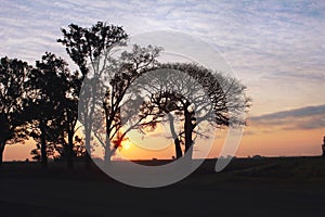 Landscape sunset with the sun illumining a tree