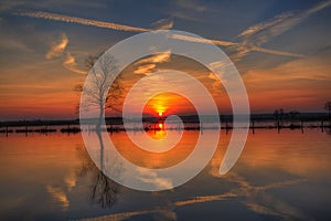 Landscape sunset or sundown river Narew Poland Europe spring time meadows under water