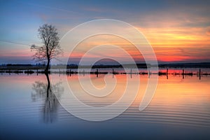 Landscape sunset or sundown river Narew Poland Europe spring time meadows under water