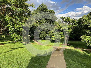 Landscape at Sunset After a Thunderstorm