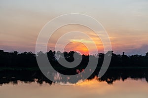 Landscape sunset with trees shadow by the swamp