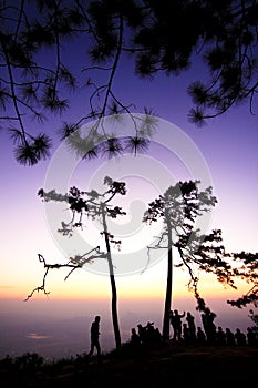 Landscape of sunset with violet sky and sillouette of pine trees and peoples photo