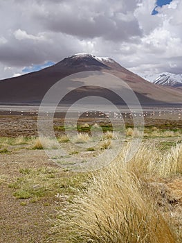 landscape in Sur lipez, the altiplano. Impressives snow covered mountains in a volcanic area