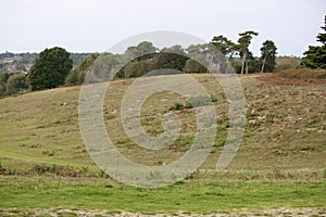 Landscape of Sutton Hoo