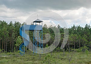 Landscape from the swamp, blue spectator tower in the swamp, Estonia, Soma National Park