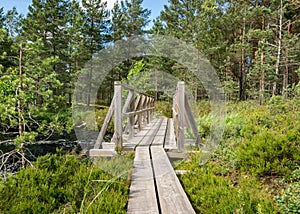 Landscape with a swamp lake, a wooden pedestrian bridge, the lake`s water ripples and the trees move in a strong wind