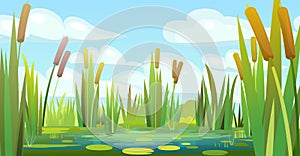 Landscape with a swampy shore of a lake or river. Coast is overgrown with grass, reeds and cattails. Water with water