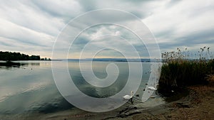 Landscape with Swans at Sunrise on the Lake - 5K