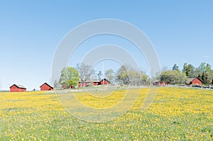 Landscape in Sweden with typically red house