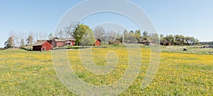 Landscape in Sweden with typically red house