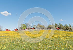 Landscape in Sweden with typically red house