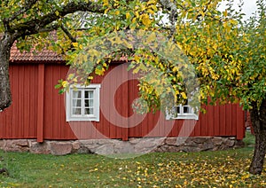 Landscape in Sweden with typically red house