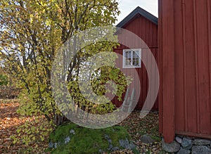 Landscape in Sweden with typically red house