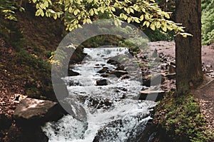 Landscape of swift mountain river with rocks and stones among green trees