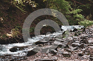 Landscape of swift mountain river with rocks and stones among green trees in forrest