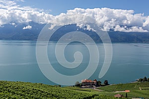 Landscape of Switzerland near Lake Leman with a boat