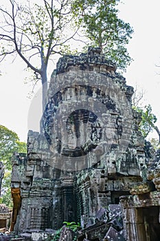 A landscape of Ta Phrom temple in Siem Reap, Cambodia.