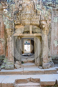 A landscape of Ta Phrom temple in Siem Reap, Cambodia.
