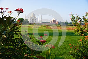 Landscape of Taj Mahal from Mehtab Bagh