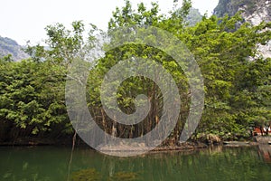 Landscape of Tam Coc national park