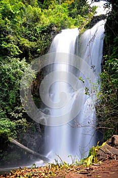 Landscape of tanzania