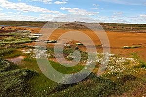 Landscape tarnished with copper mining residue