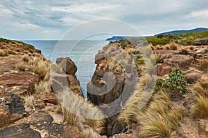 Landscape in Tasmania