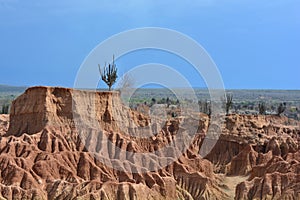 Landscape of the Tatacoa desert, in Neiva, Colombia photo