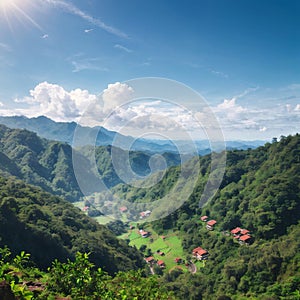 Landscape with The tea plantations background. landscape with mountain and clouds. areal view of the forest. aerial