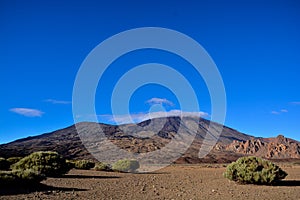 Landscape in Tenerfe Tropical Volcanic Canary Islands Spain