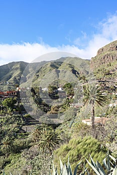 Landscape of Tenerife, Spain