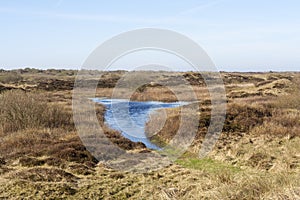 Landscape at Texel