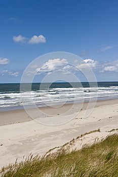 Landscape at Texel