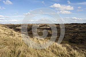 Landscape at Texel