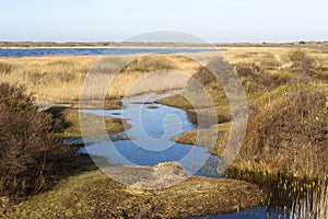 Landscape at Texel