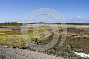 Landscape at Texel