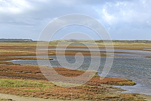 Landscape Texel, Netehrlands photo