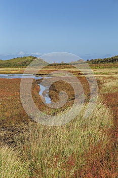 Landscape Texel, Netehrlands photo