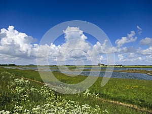 Landscape at Texel