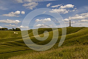 Landscape view of a chalk white horse and a 19th century monument on the hillside in Wiltshire, UK. photo