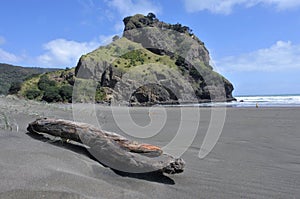 Landscape of th Lion rock on Piha beach