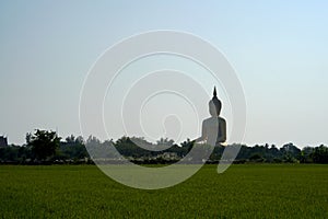 The landscape of Thailand biggest buddha with green rice field at wat Muang temple, Angthong, Thailand,