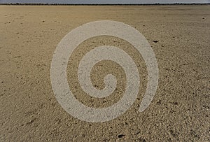 Landscape with Thar dessert enpty, flat, arid and deserted