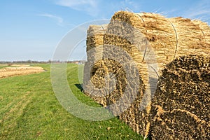 Landscape with thatch sheaf on farmland