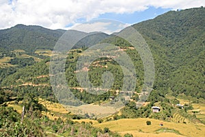 Landscape between Thimphu and Gangtey - Bhutan (2) photo