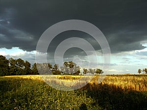 Landscape thunderclouds over the field and trees on a summer day