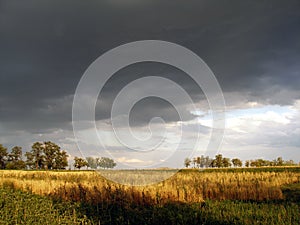 Landscape thunderclouds over the field and trees on a summer day