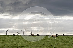 Landscape of Thurso countryside