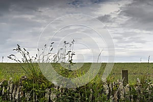 Landscape of Thurso countryside